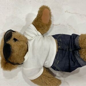 Chic Brown Teddy Bear with Sunglasses